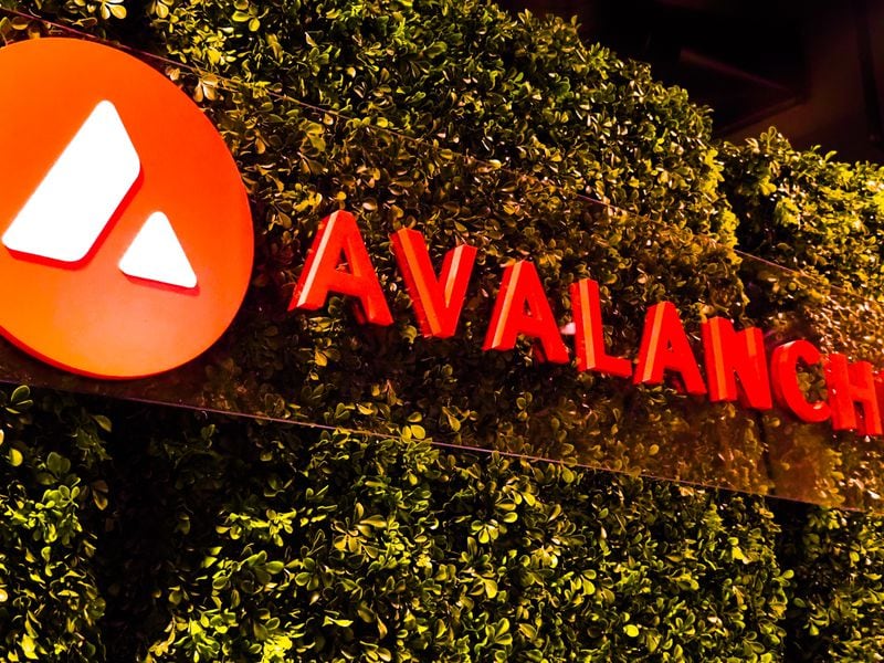 COQ, SHIBX, HUSKY Gain as Avalanche Foundation Says It Will Purchase Meme Coins