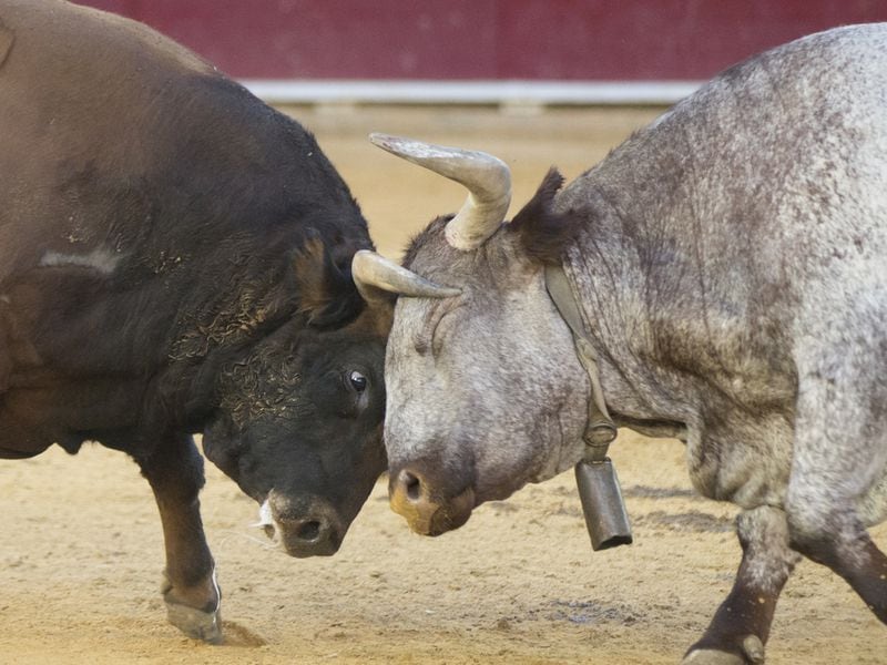 Bullish Drivers Remain In Play Despite Germany's Bitcoin Sales and Mt. Gox Reimbursements