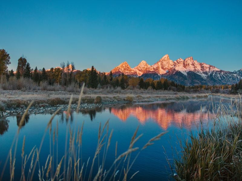 Bitcoin Price (BTC) rises to $61,000 After Powell at Jackson Hole Signals Rate Cuts
