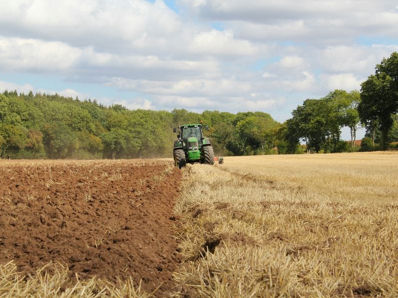 Scroll (SCR) Airdrop Allocation Met With Dismay From Farmers