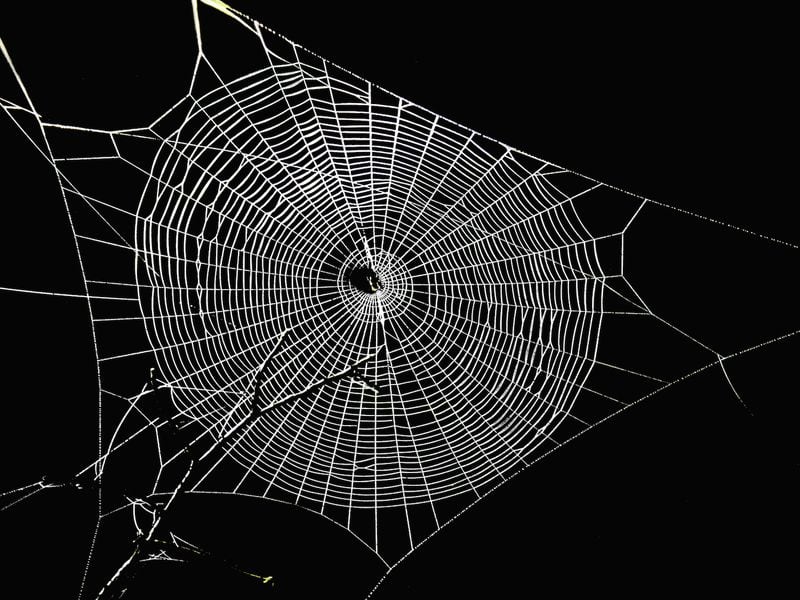 Crypto Lender Aave Seeks Community Comment on Proposal to Expand to Bitcoin Layer 2 Spiderchain