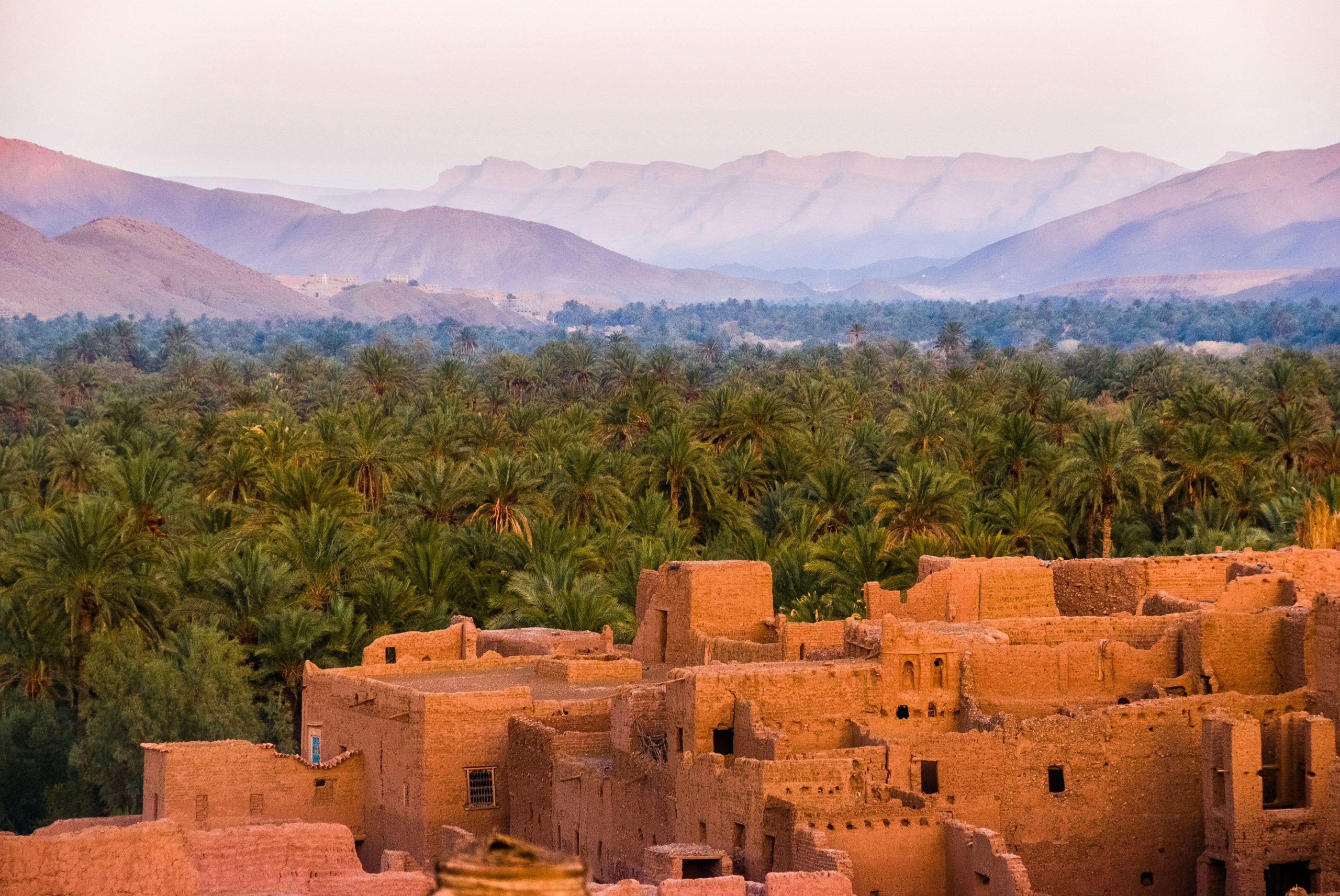 Moroccan buildings and trees (Sergey Pesterev/ Unsplash)