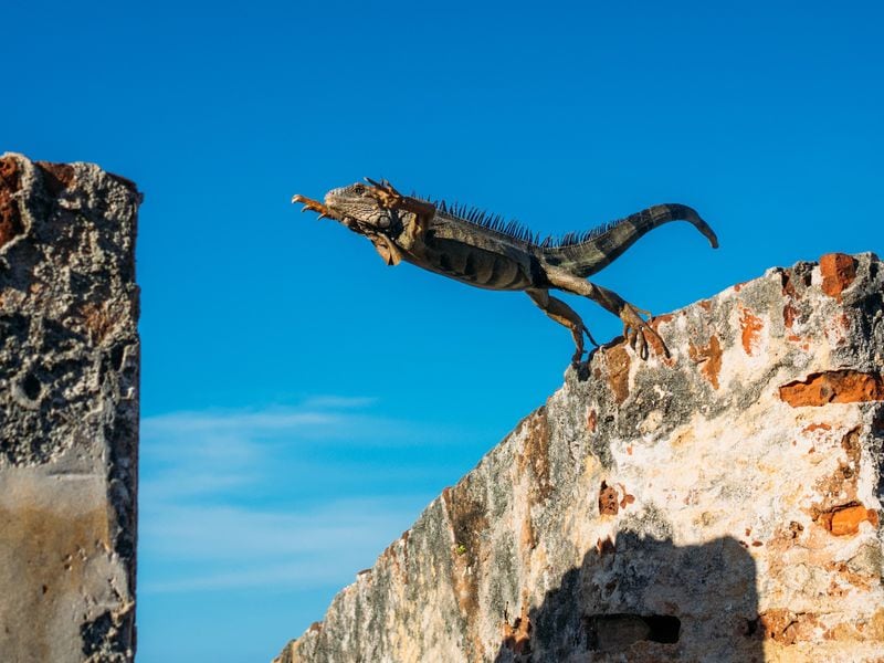 Token Jumps 18% as Bitcoin Traders Target $120,000