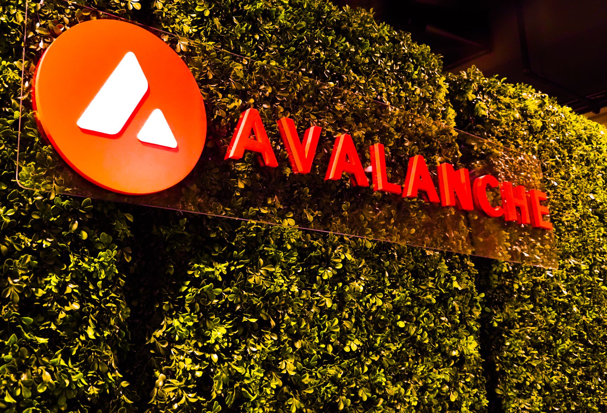 Avalanche Blockchain’s Largest-Ever Upgrade, 'Avalanche9000,' Is Live