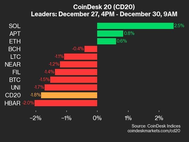 9am CoinDesk 20 Update for 2024-12-30: leaders chart