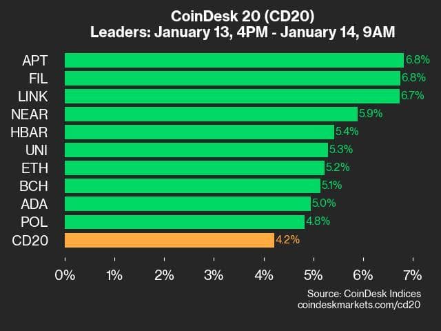 9am CoinDesk 20 Update for 2025-01-14: leaders chart