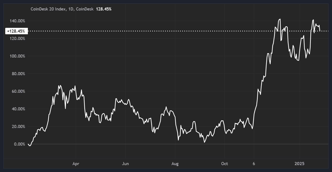 (CoinDesk 20 Performance in 2024/CoinDesk Indices)