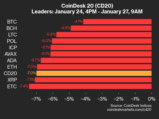 9am CoinDesk 20 Update for 2025-01-27: leaders chart