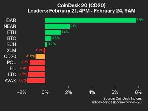 9am CoinDesk 20 Update for 2025-02-24: leaders chart