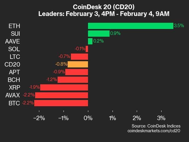 9am CoinDesk 20 Update for 2025-02-04: leaders chart