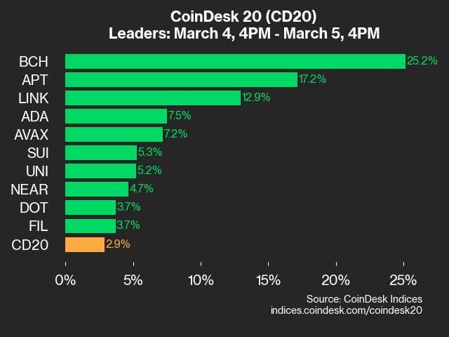 CoinDesk 20 Index leaders (CoinDesk Indices)