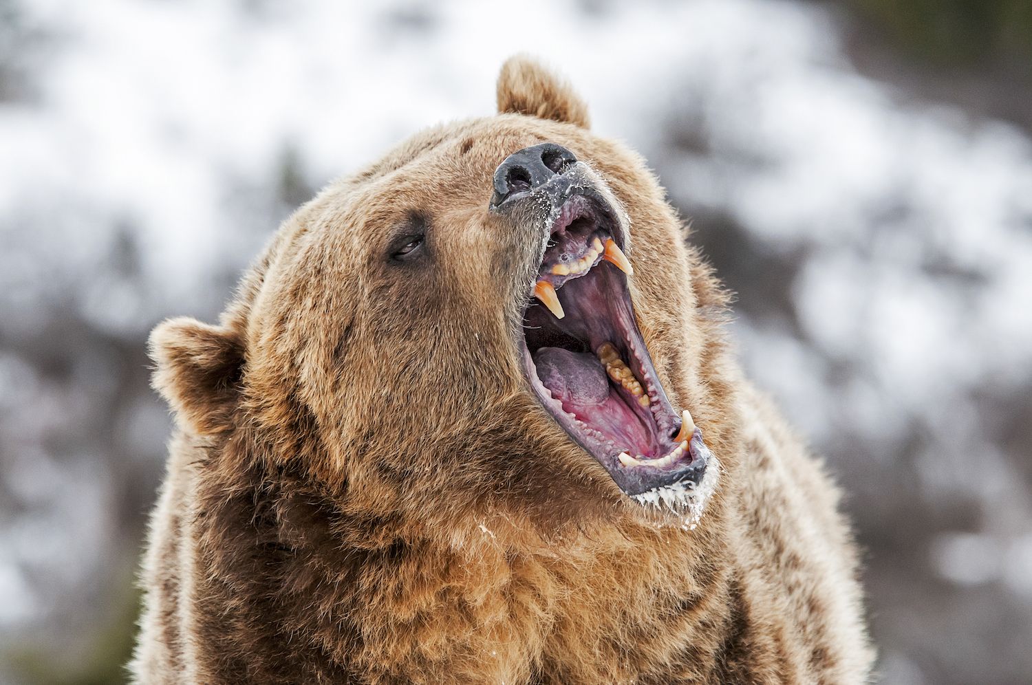 Bitcoin, Solana, Cardano XRP Tokens Plunge 20% as Traders Expect More Pain Ahead