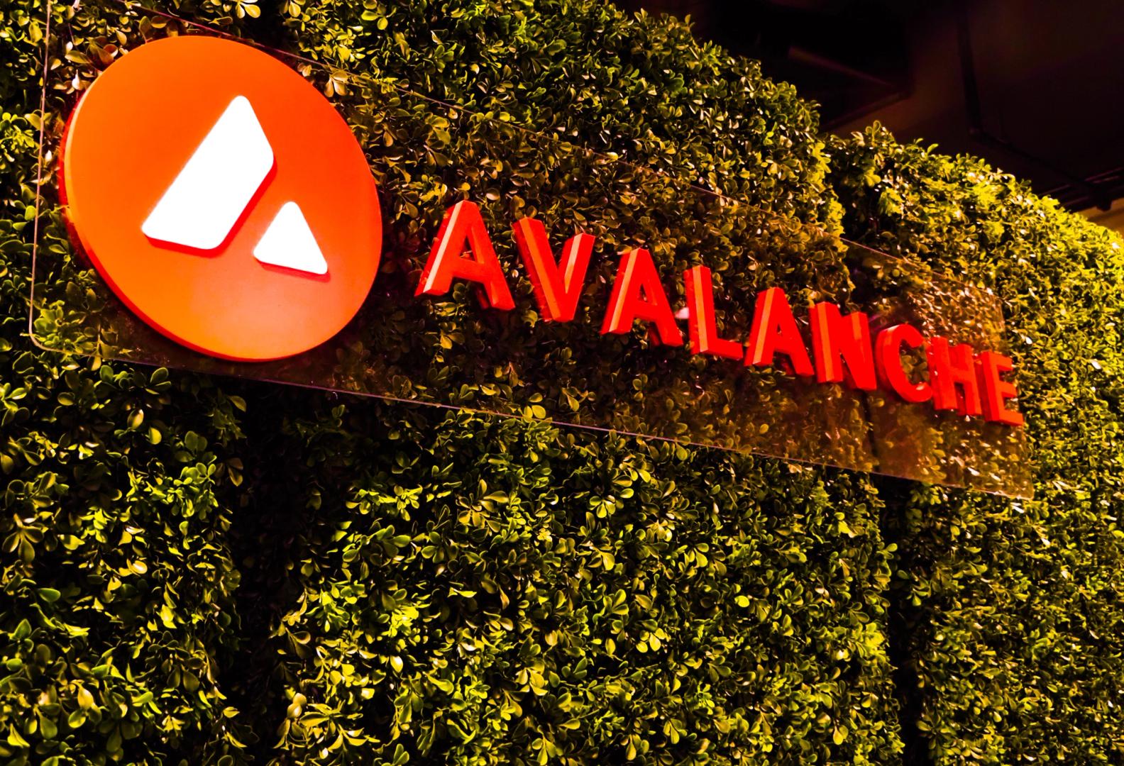 A New Jersey County to Tokenize $240B Property Records on Avalanche