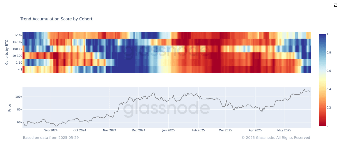 Trend Accumulation Score by Cohort (Glassnode)