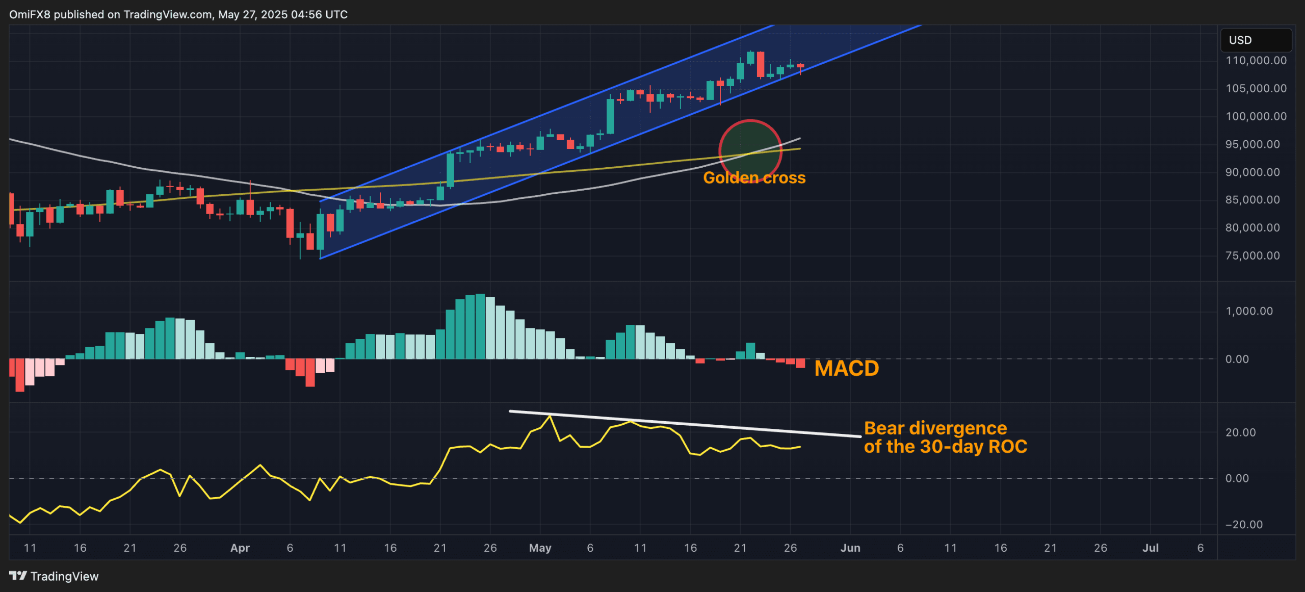 BTC's daily chart. (TradingView/CoinDesk)