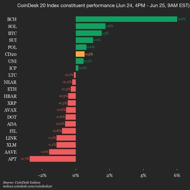 9am CoinDesk 20 Update for 2025-06-25: vertical chart