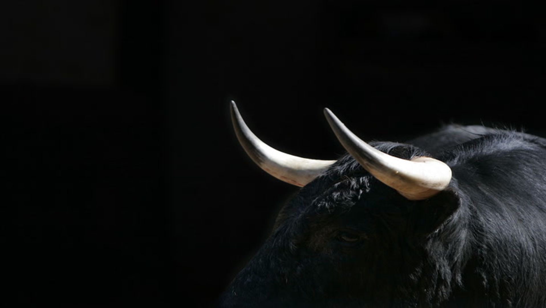Crypto Custody Firm Taurus Releases Open Source Privacy Tech for Stablecoins