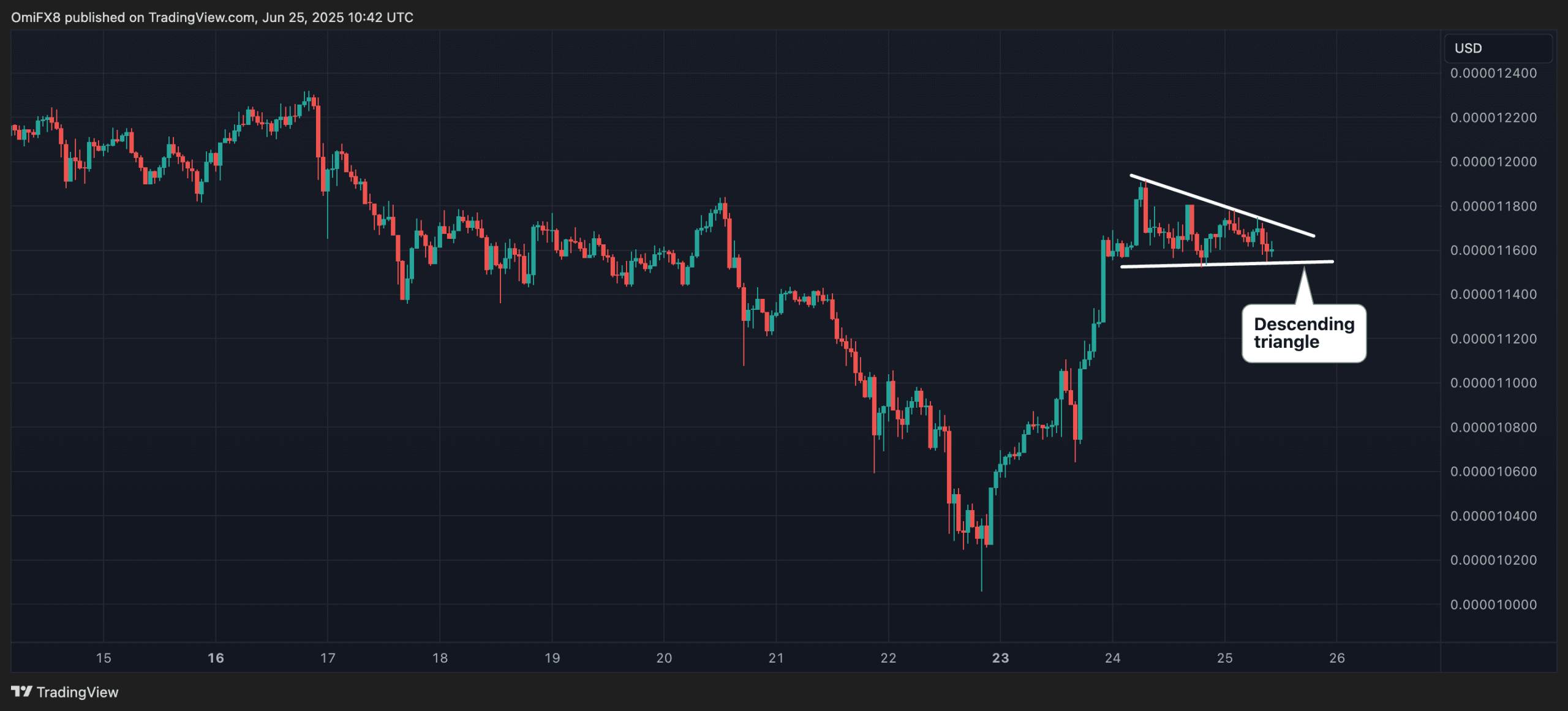 SHIB's hourly price chart. (TradingView/CoinDesk)