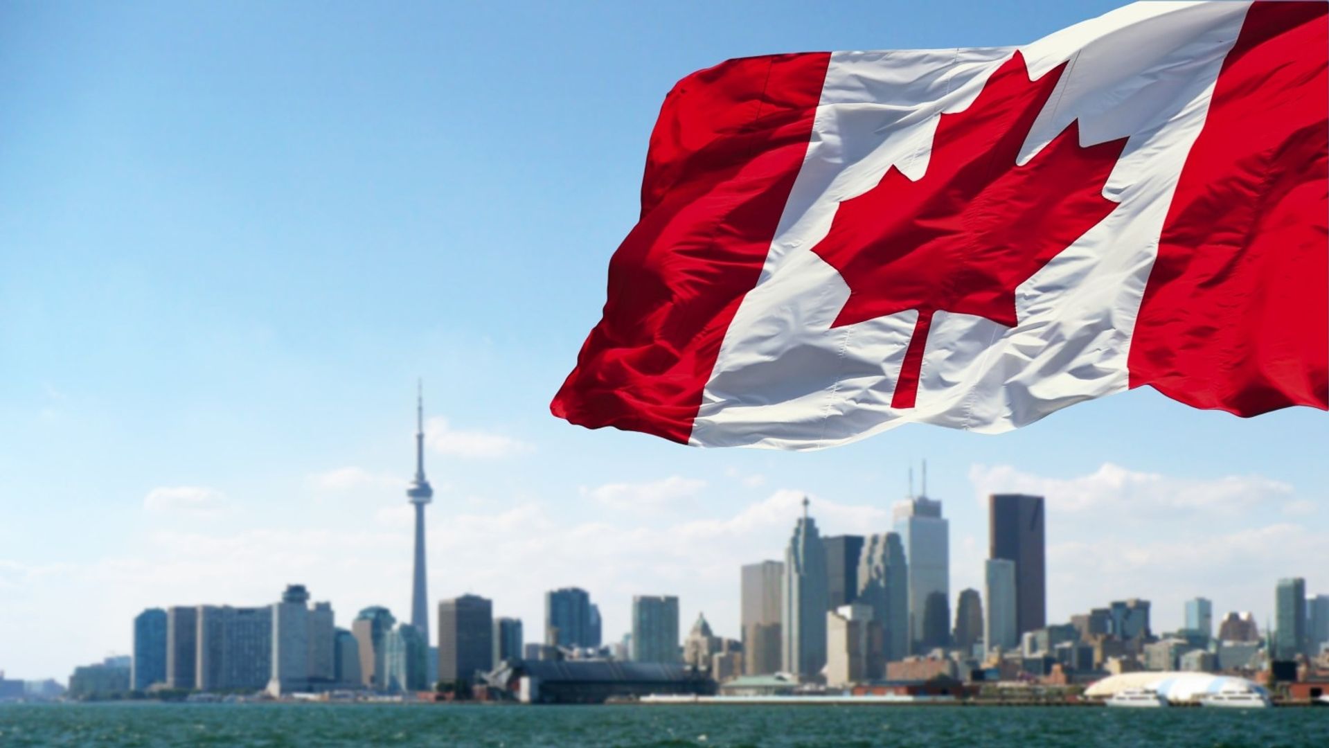Token Gains 7% as Purpose's Spot ETF Set to Launch in Canada
