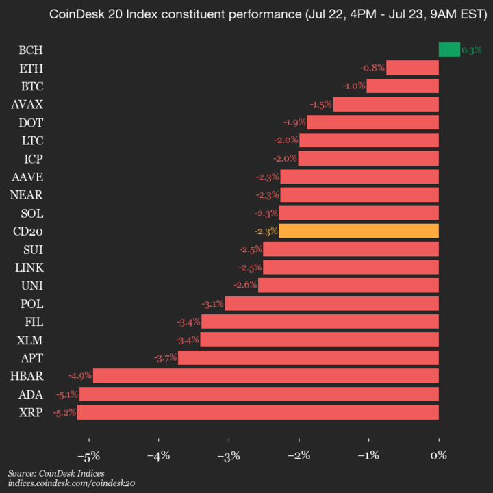 9am CoinDesk 20 Update for 2025-07-23: vertical